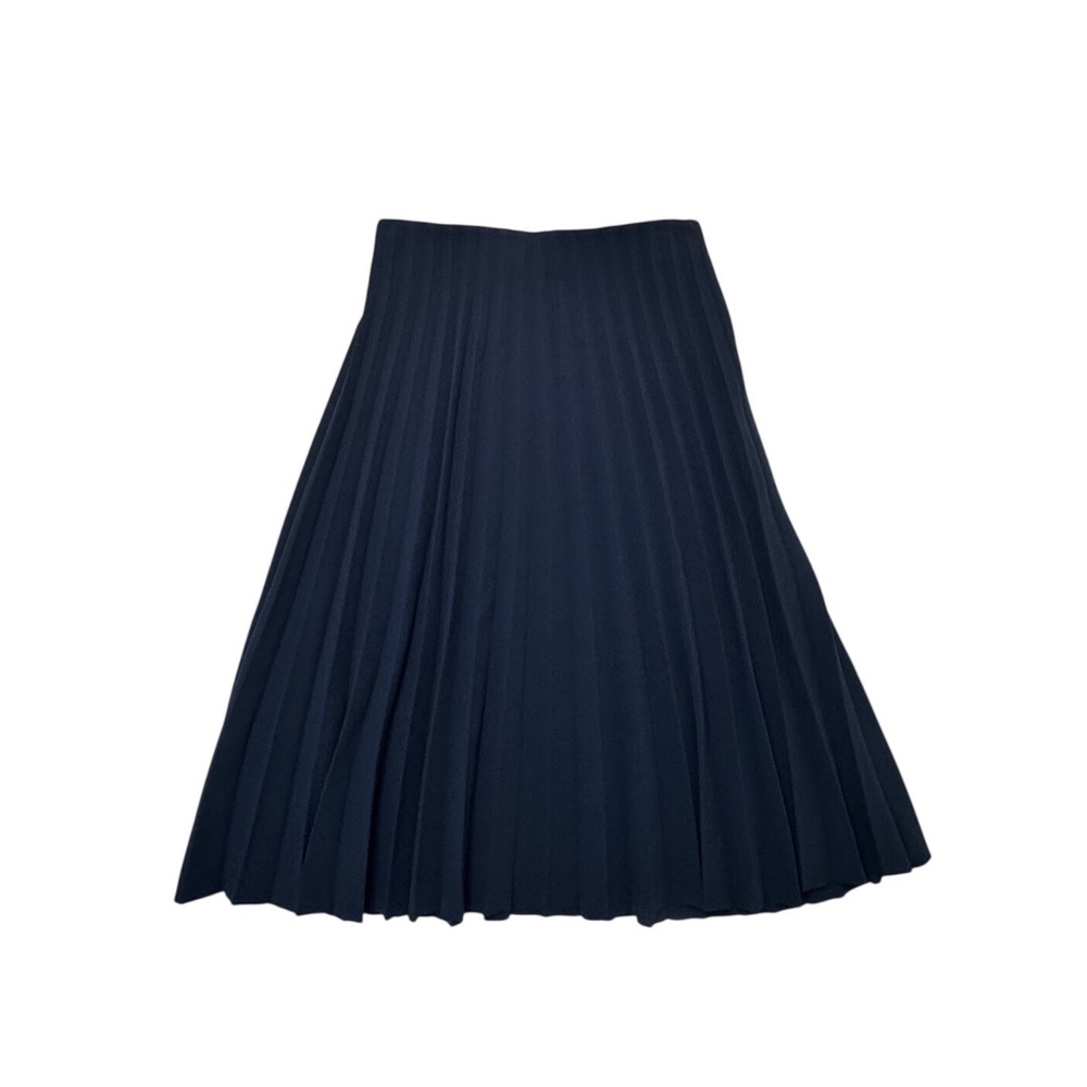 Everlane Navy Blue Pleated Midi Skirt Size 2 Dark Academia Preppy Minimalist